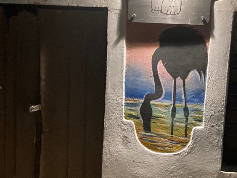 Celestún, Yucatan – Suspend your first&nbsp;impressions