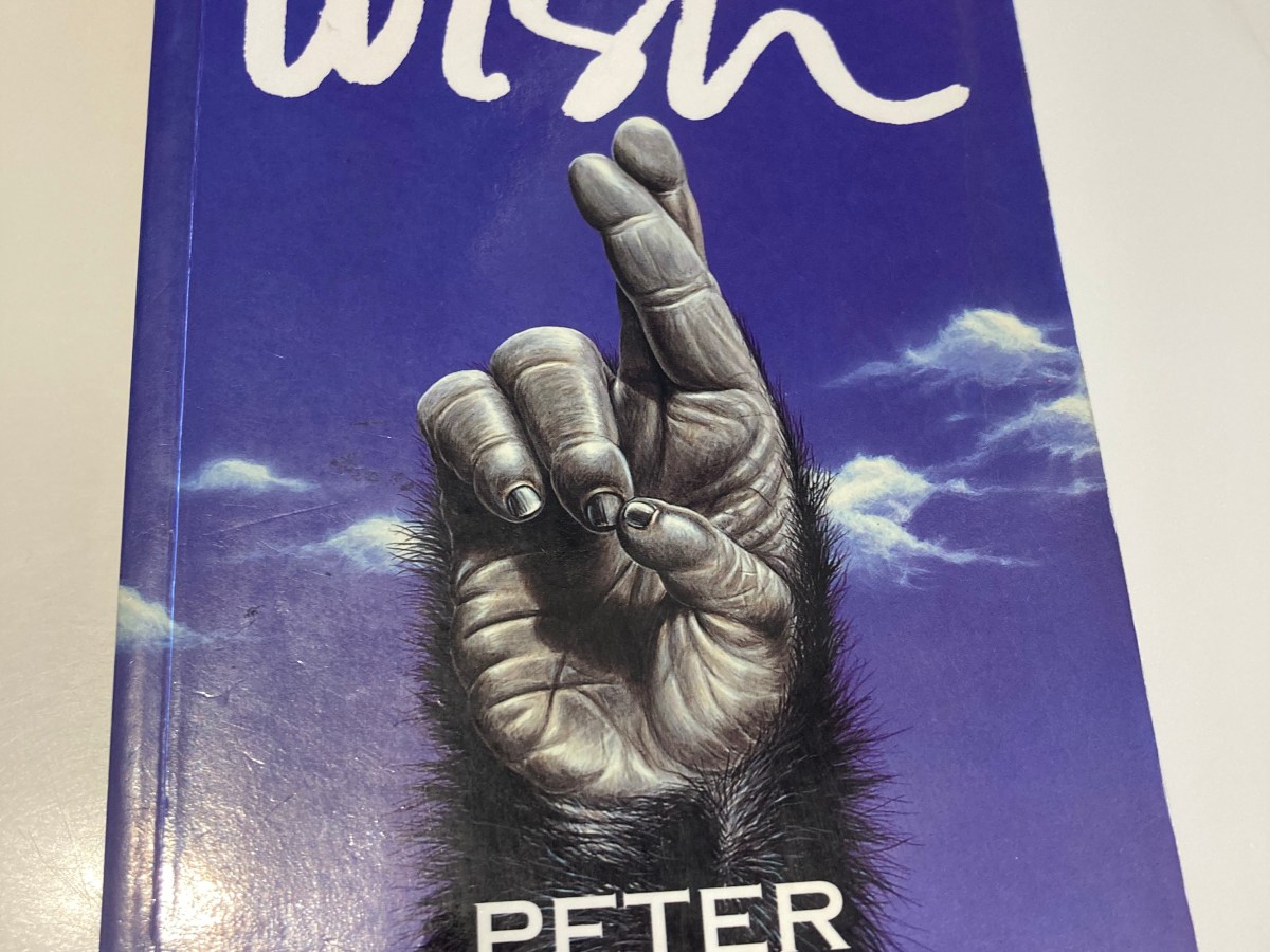 2025 – A Year in&nbsp;Novels