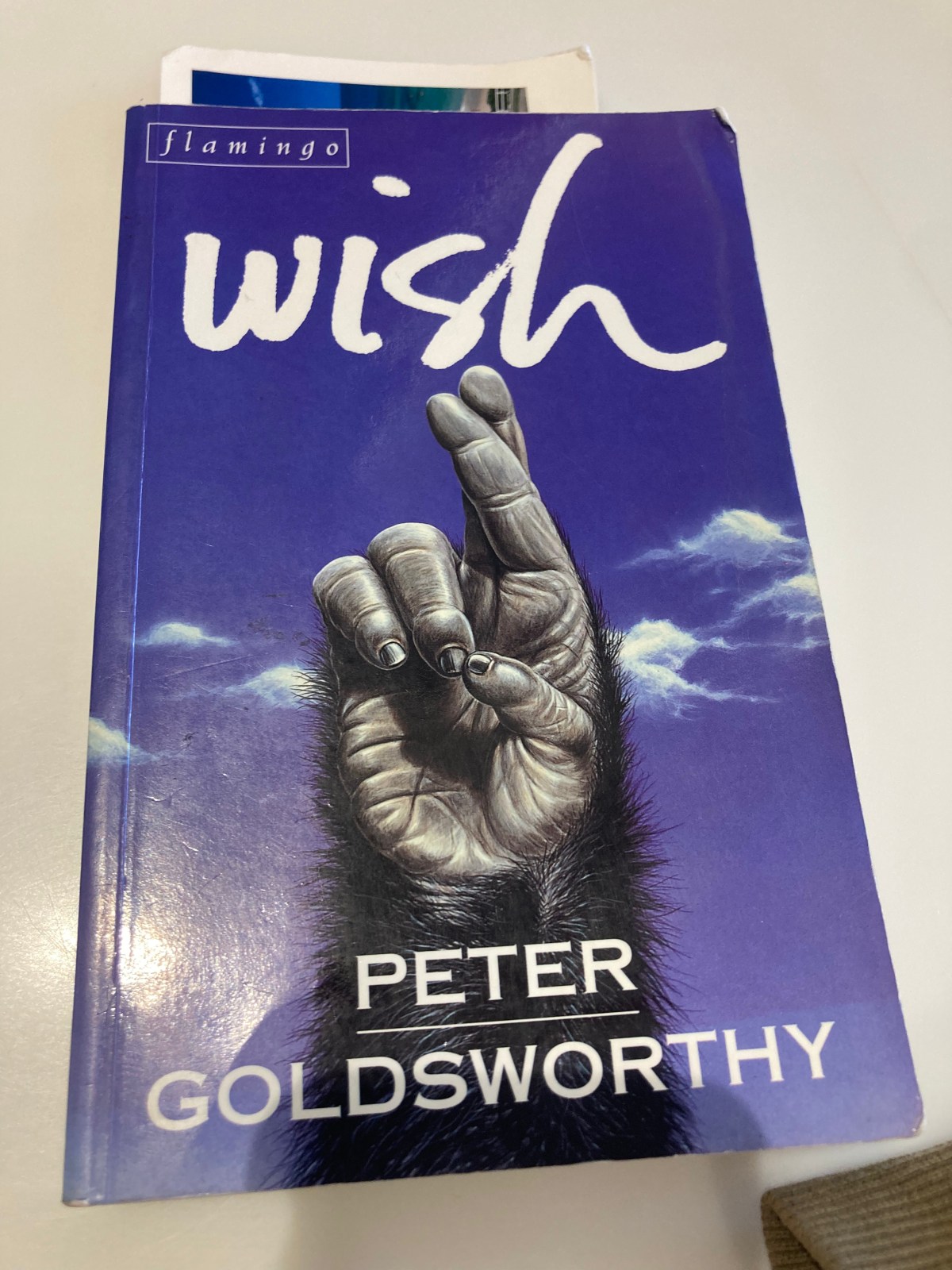 2025 – A Year in&nbsp;Novels